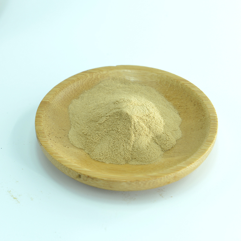 Organic Reishi Mushroom Powder Extract 1:1