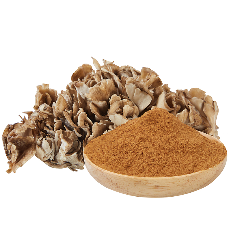 Organic Maitake Extract Powder (No Dextrin)
