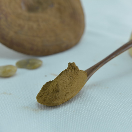 Organic Reishi Mushroom Extract Powder (Ganoderma lucidum) 10:1