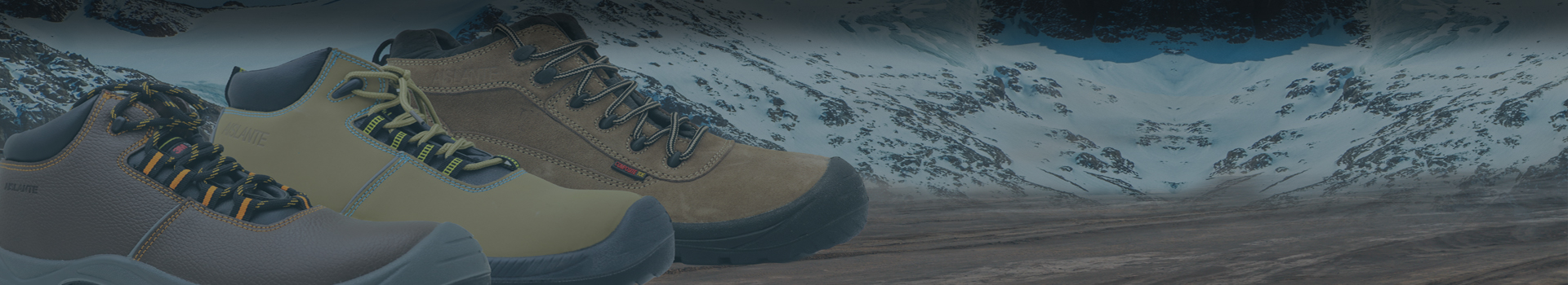 Sole Safety Shoes