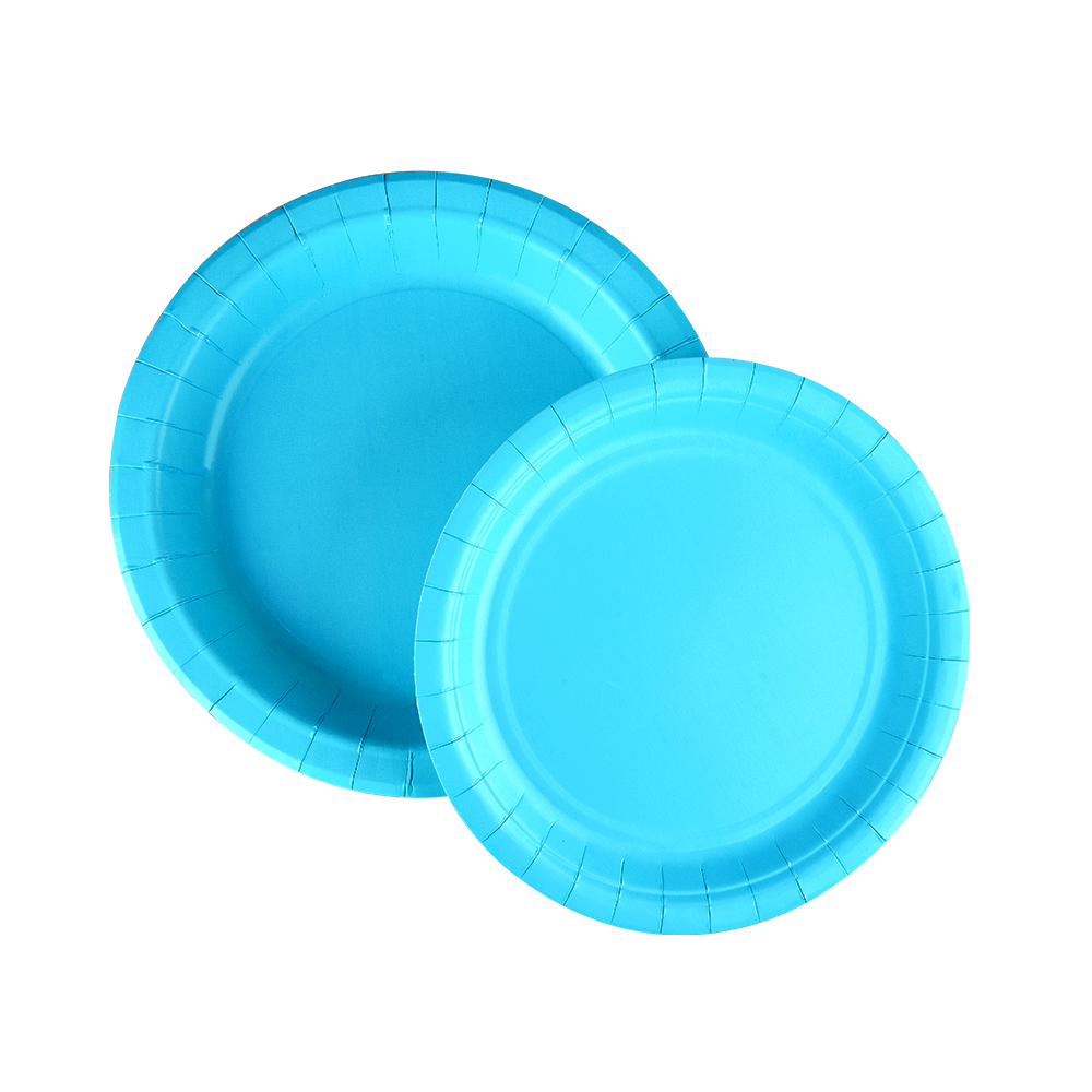 Disposable Printed Paper Lunch Plates