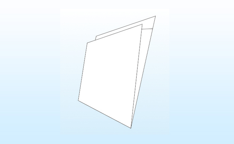 Envelope Bags