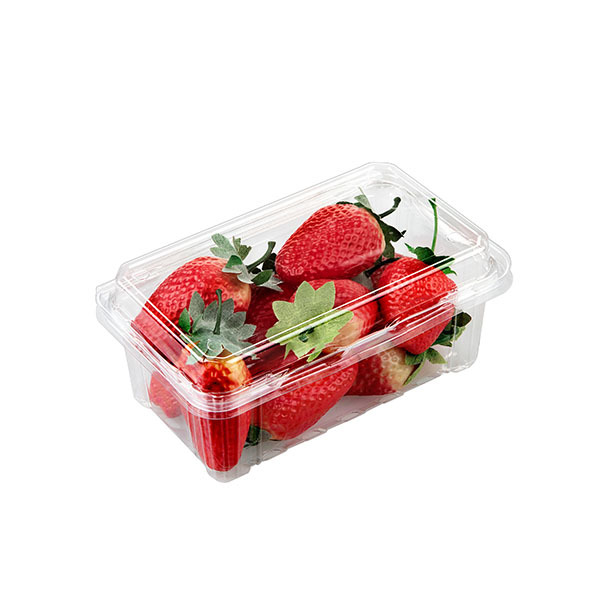 Strawberry Packaging Series
