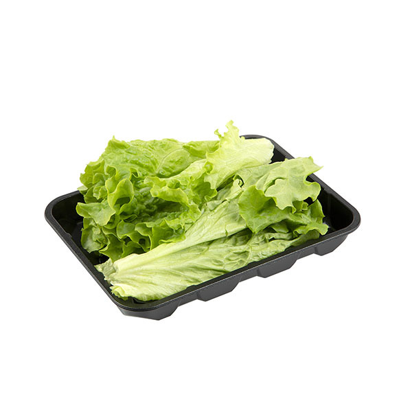 Lettuce Packaging Series