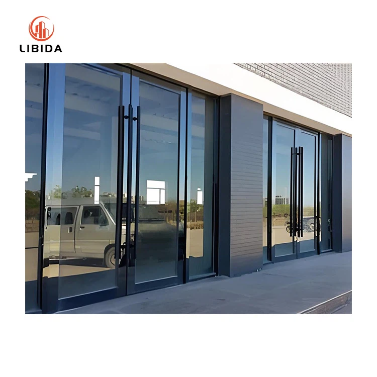 Modern Aluminum Double Swing Patio Entrance Doors
