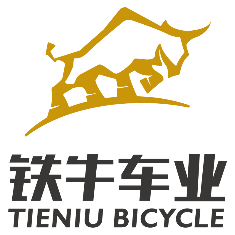 HEBEI TIENIU BICYCLE INDUSTRY CO.,LTD logo