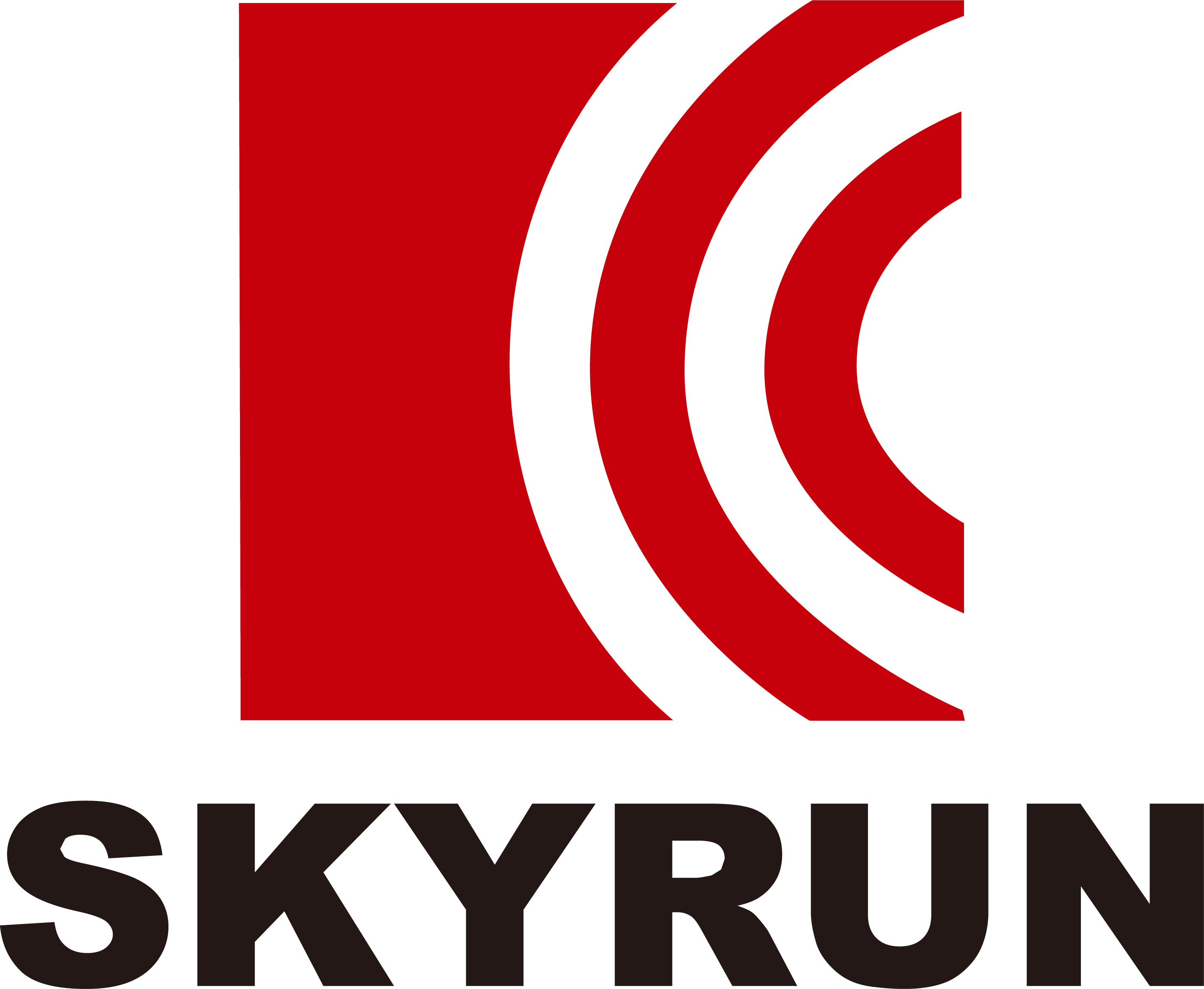 JIANGSU SOHO SKYRUN CORPORATION logo