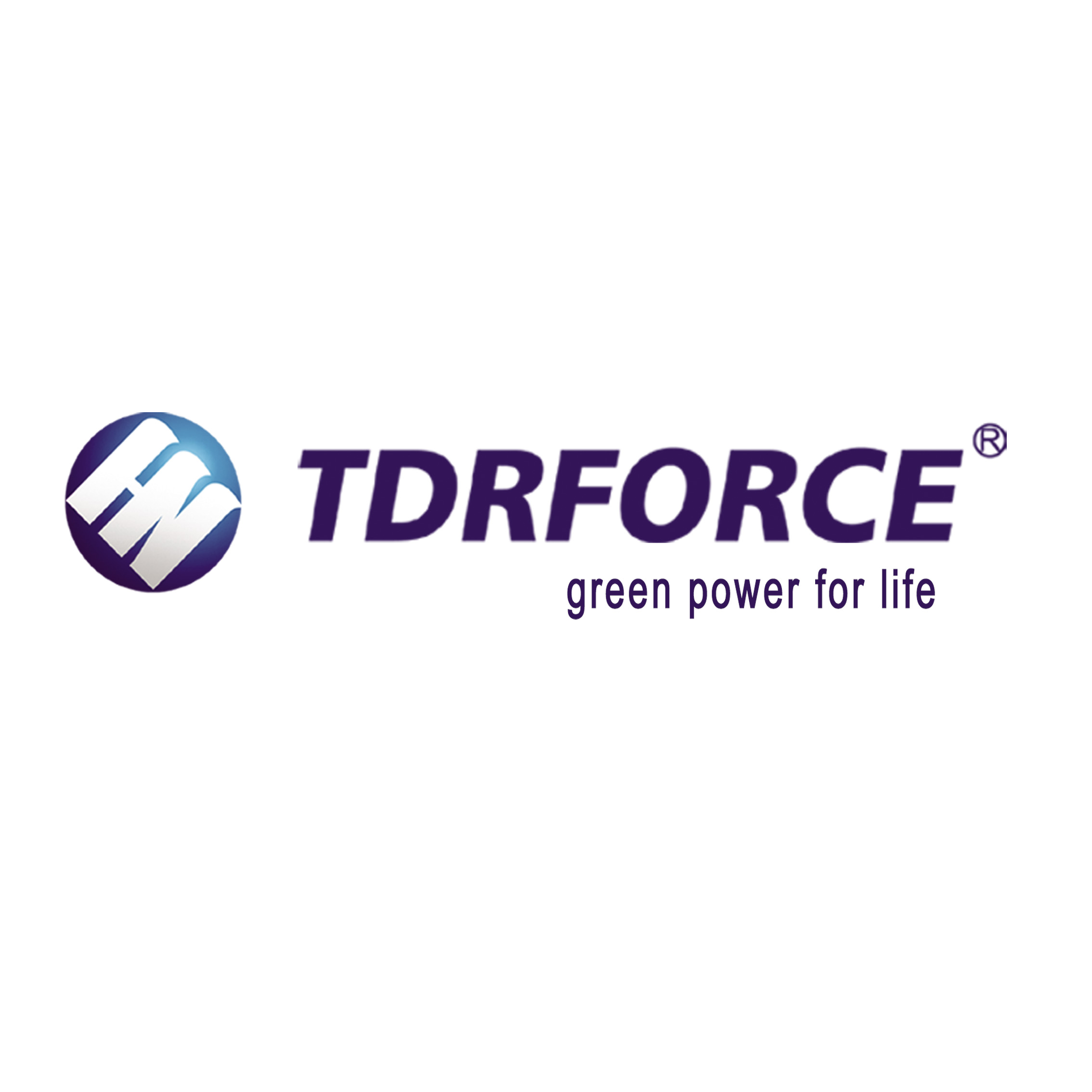 FUZHOU TDRFORCE TECHNOLOGY CO.,LTD logo
