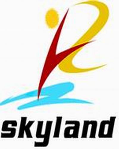 NANJING SKYLAND BUSINESS&INDUSTRIAL CO.,LTD logo