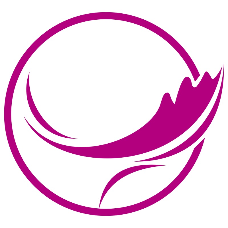 SHANGHAI JIAXING SILK I/E CO.,LTD. logo