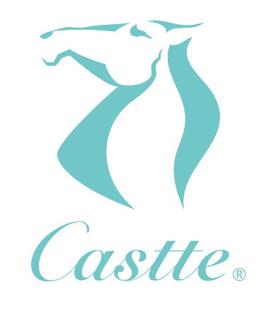 ZHAOYUAN CASTTE GARMENT CO.,LTD logo