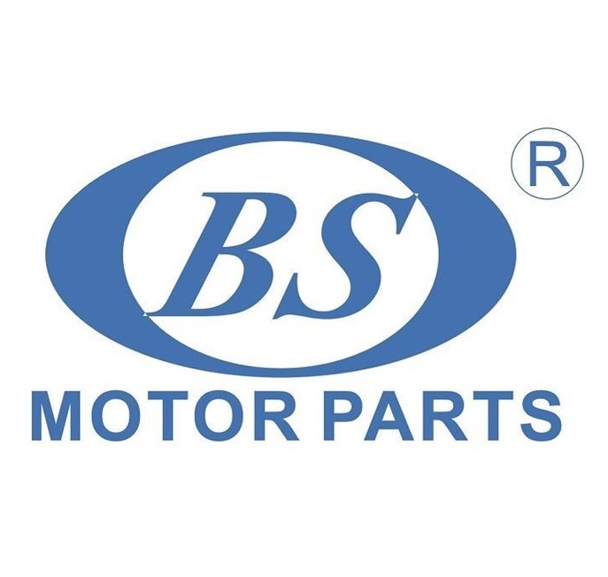 BS MOTOR PARTS MFG. CO., LTD. logo