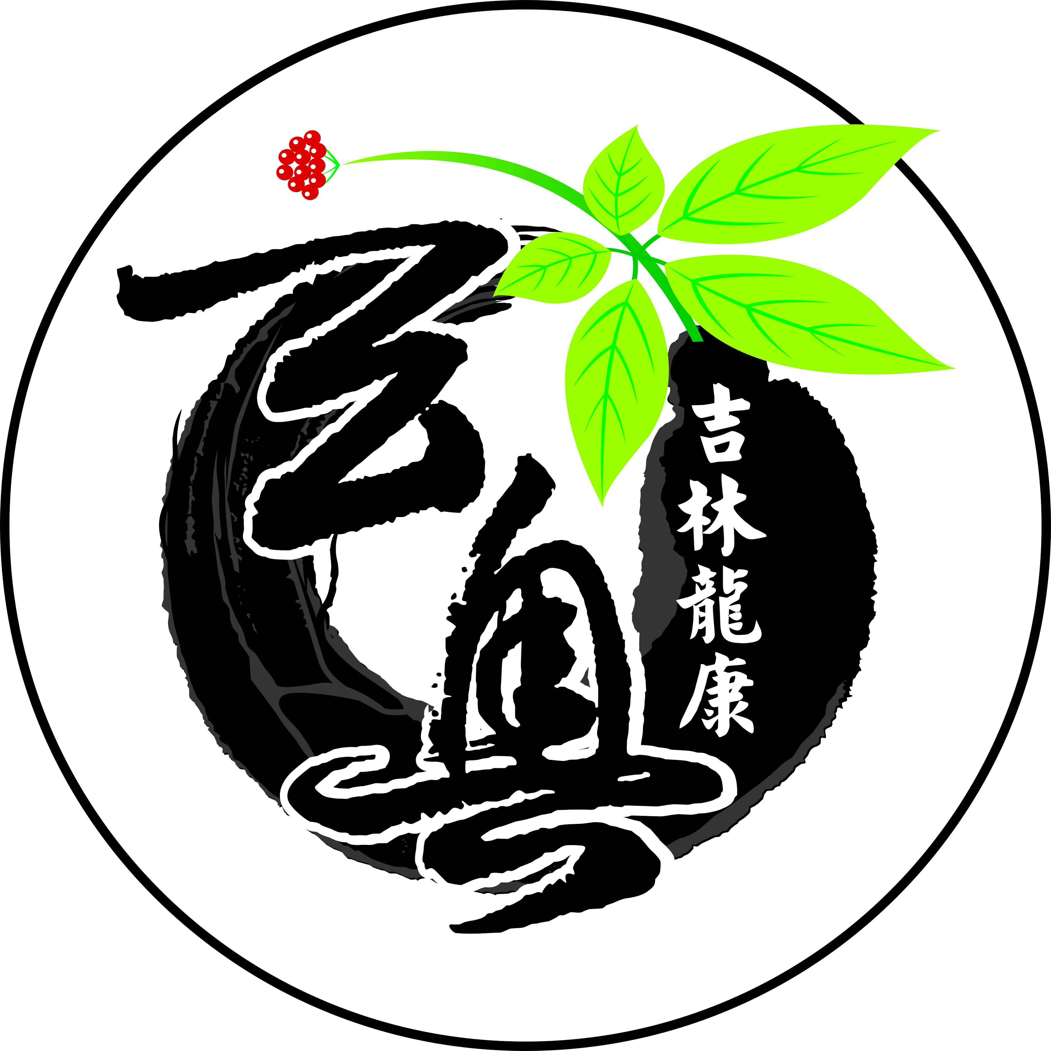 JILIN LONGKANG PHARMACEUTICAL CO.,LTD logo