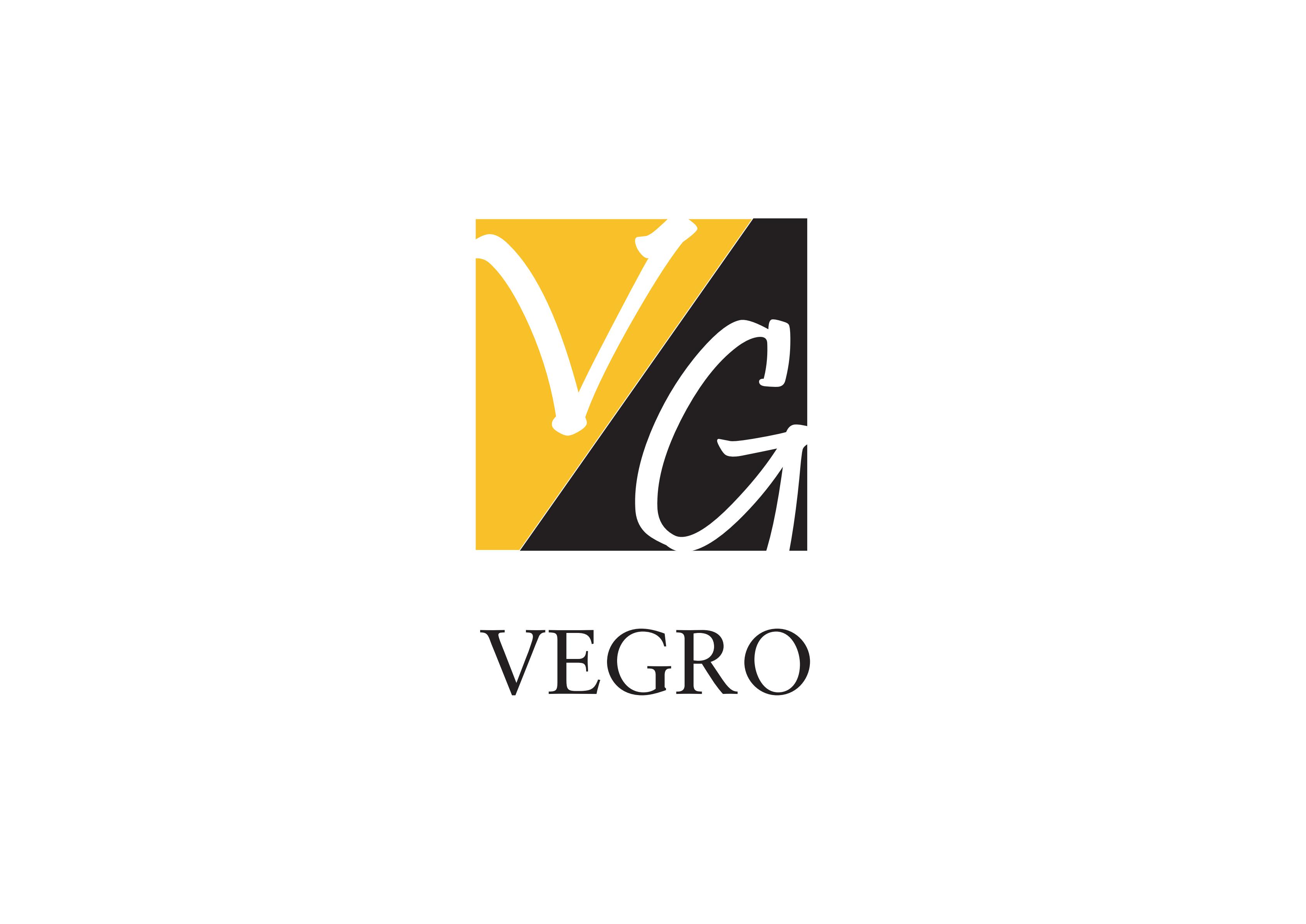 SHANGHAI VEGRO INTERNATIONAL CO.,LTD. logo