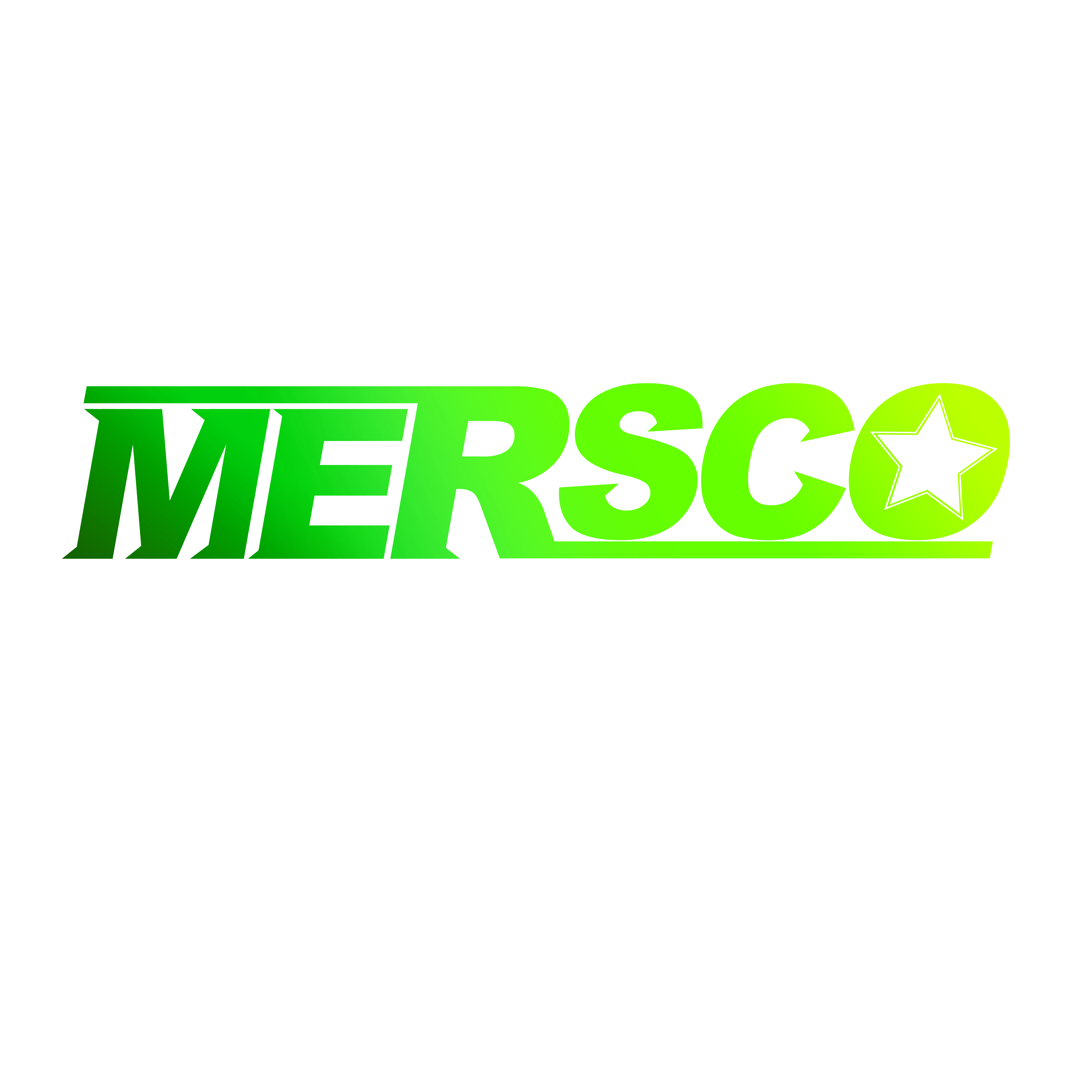 Zhejiang Mersco Industry & Trade Co.,Ltd logo
