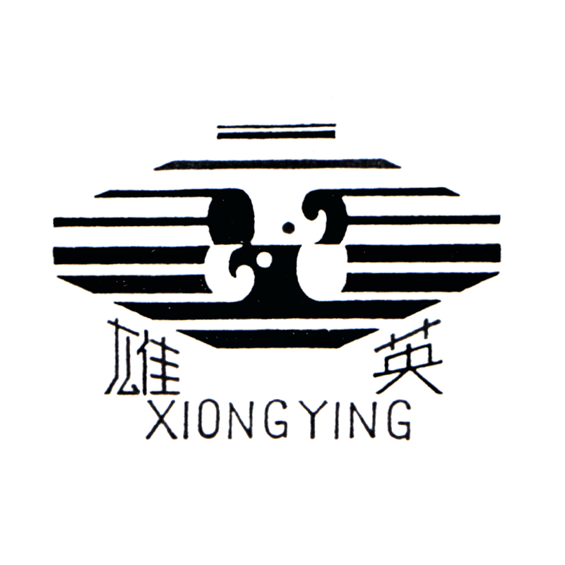 CHAOZHOU SUNSHINE TECHNOLOGY DEVELOPMENT CO. LTD. logo