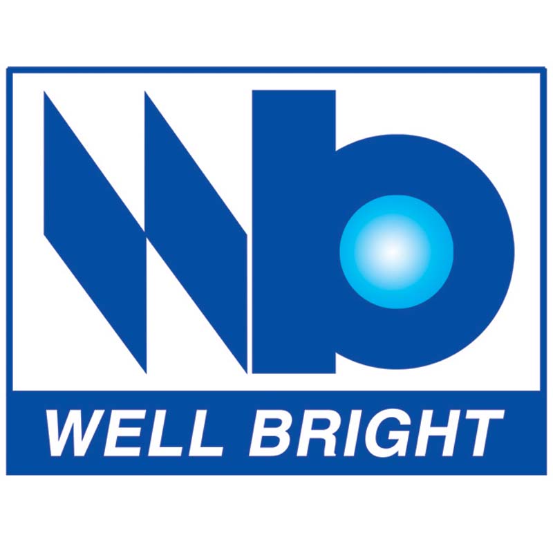 FUZHOU WELL BRIGHT ELECTRONICS TECHNOLOGY LTD logo