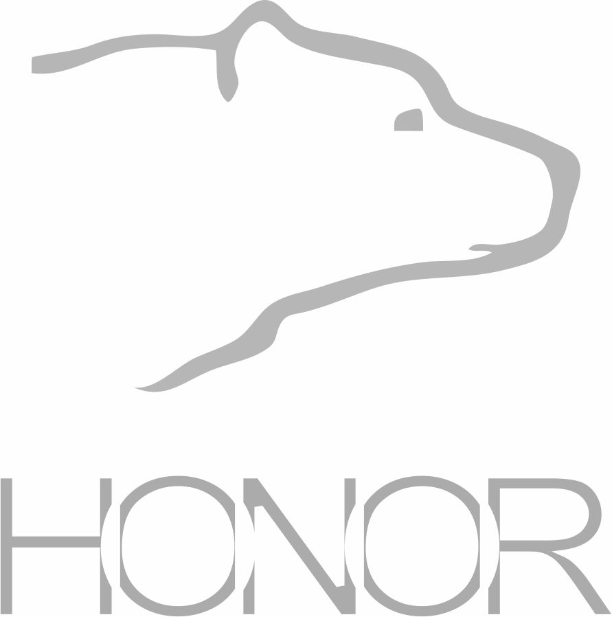 HONOR LEATHER APPAREL ( JINAN ) CO., LTD. logo