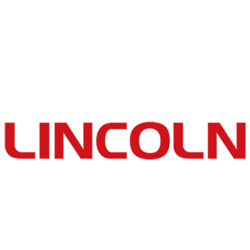 SHANDONG LINCOLN MACHINERY MANUFACTURER CO., LTD. logo