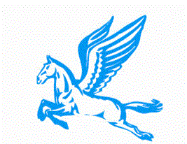 Beijing Tianma Sling Co., Ltd logo