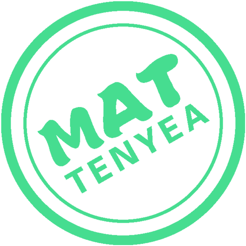 SHENYANG TENYEA SCIENCE & TECHNOLOGY CO., LTD. logo