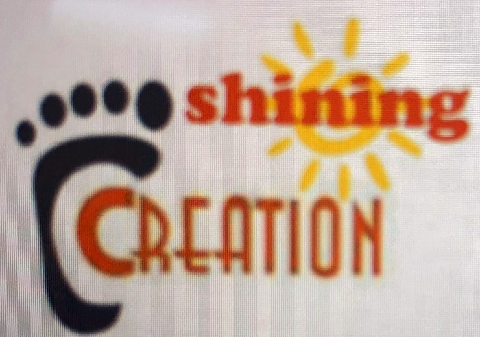 SHENZHEN SHINING FOOTWEAR LTD logo