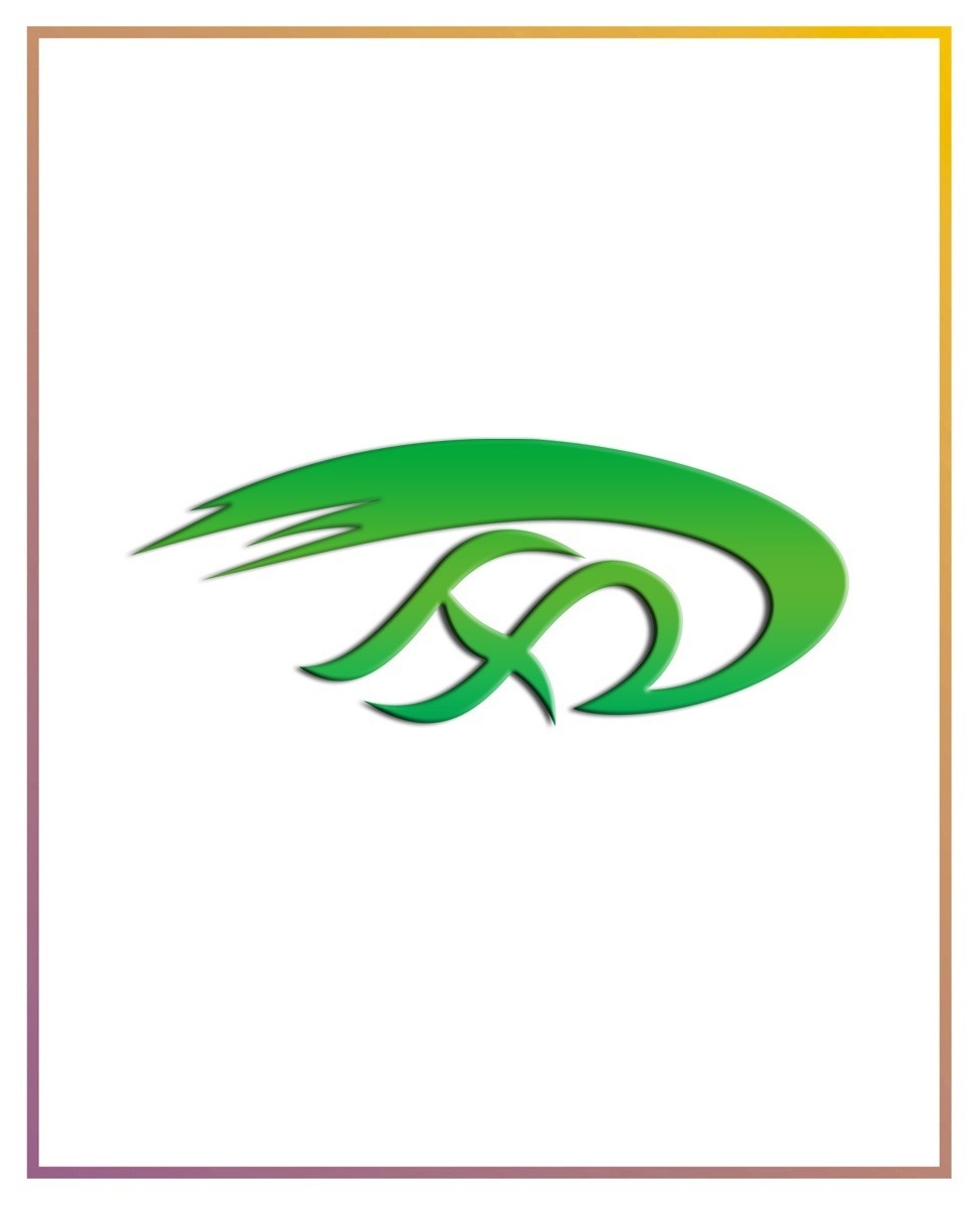 LIN YI CITY HENG XIN ARTS&CRAFTS CO.,LTD. logo