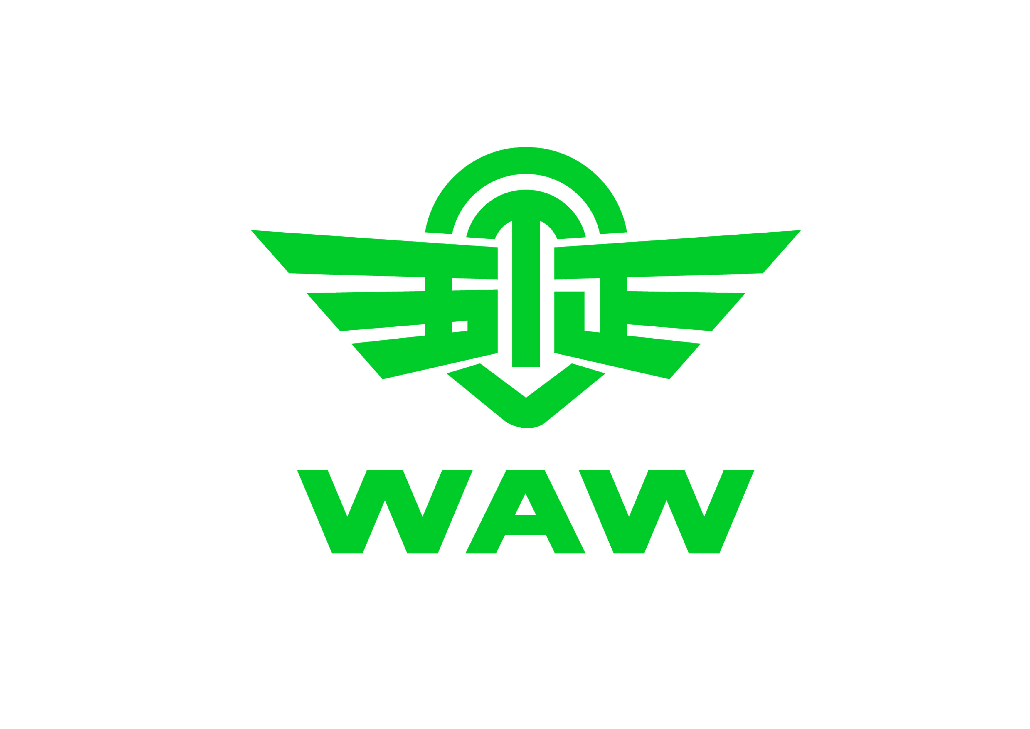 SHANDONG WUZHENG GROUP CO.,LTD logo