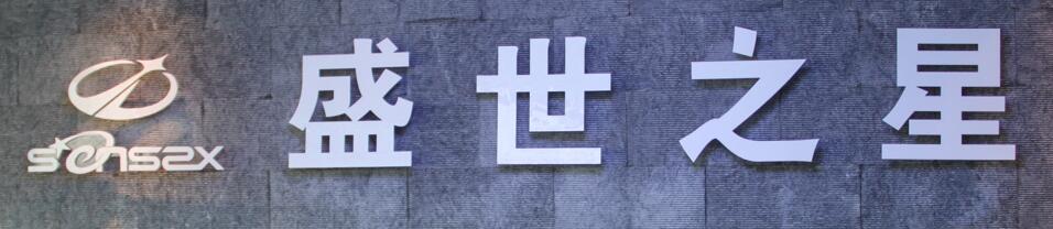 BAODING SHENGSHIZHIXING BAGS MANUFACTURING CO.,LTD logo