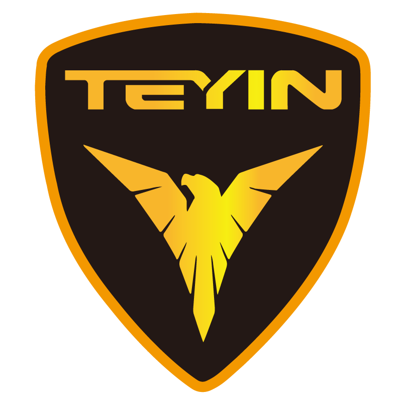 ZHEJIANG TIANYING LOCOMOTIVE CO.,LTD logo