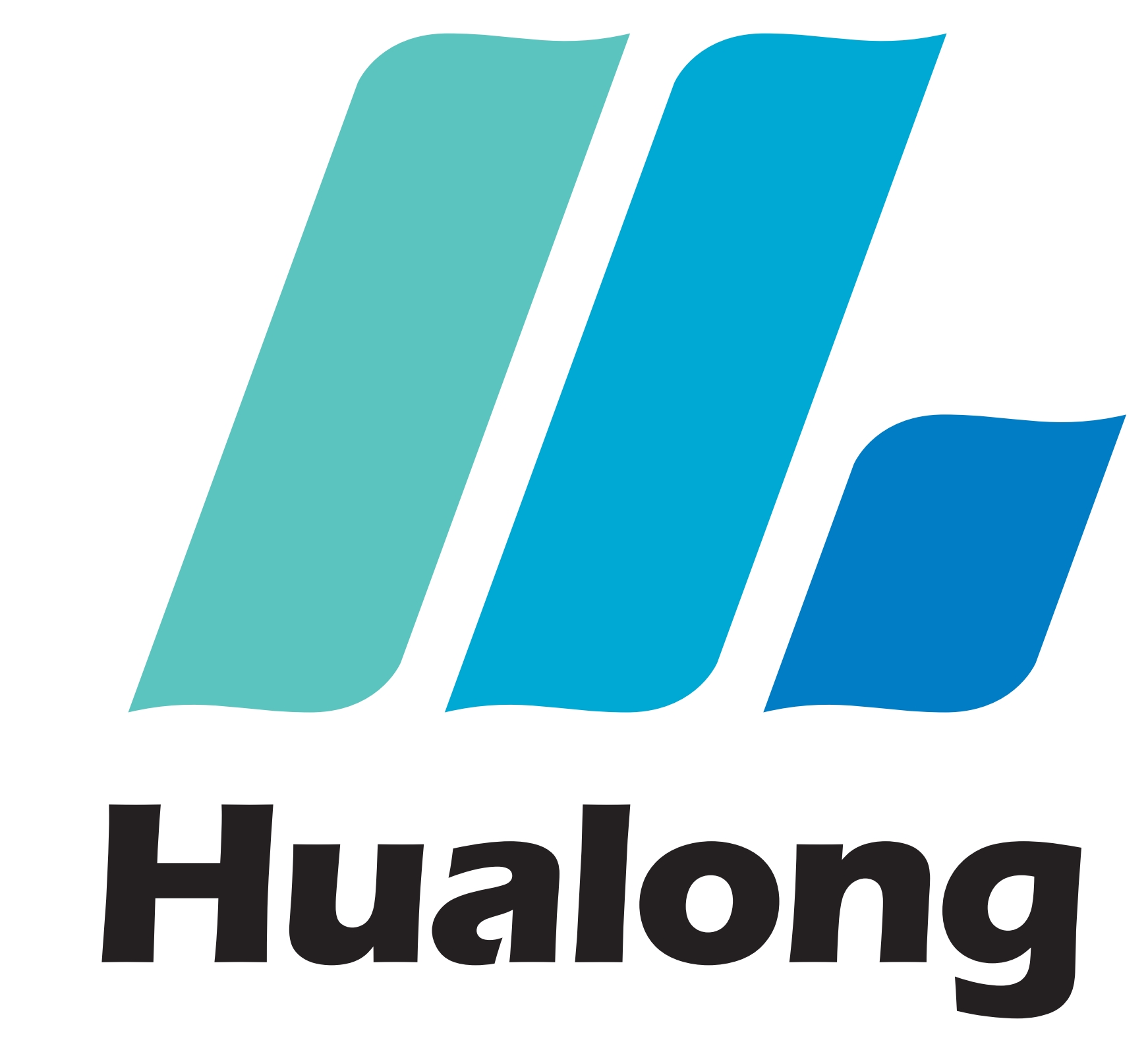 CHANGLE HUALONG PLASTIC PRODUCTS CO.,LTD logo