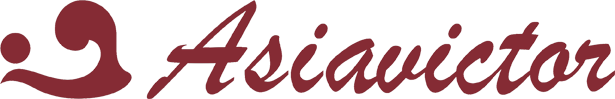 SHANTOU A&V ELECTROACOUSTICS ENTERPRISES logo