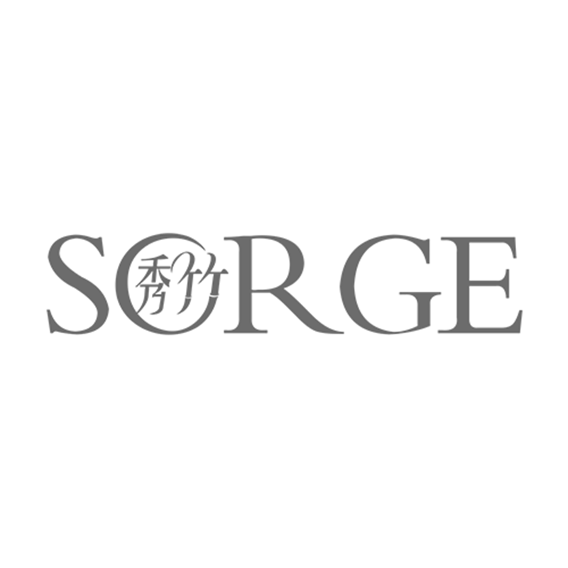 Shantou Sorge Electric Co., Ltd. logo
