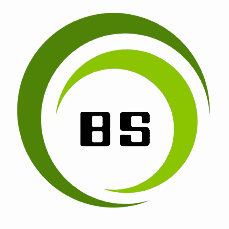 SHENYANG BAISHENG ARTS&CRAFTS CO.,LTD logo