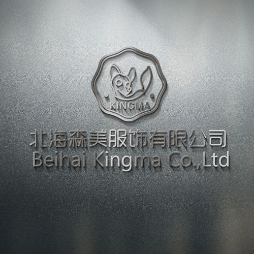 BEIHAI KINGMA CO.,LTD logo