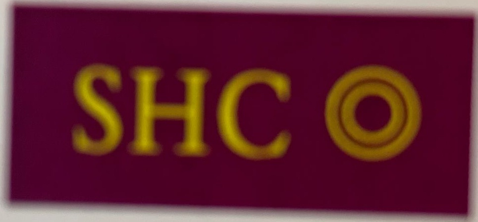 SHANGHAI HANKERING CORPORATION logo