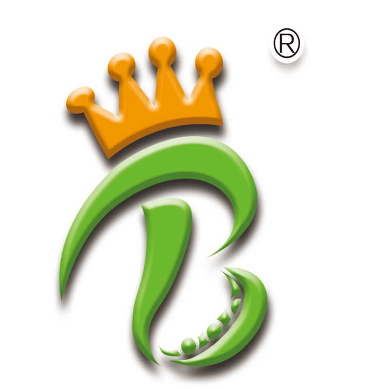 DALIAN BEAN KING INTERNATIONAL TRADING CO.,LTD logo