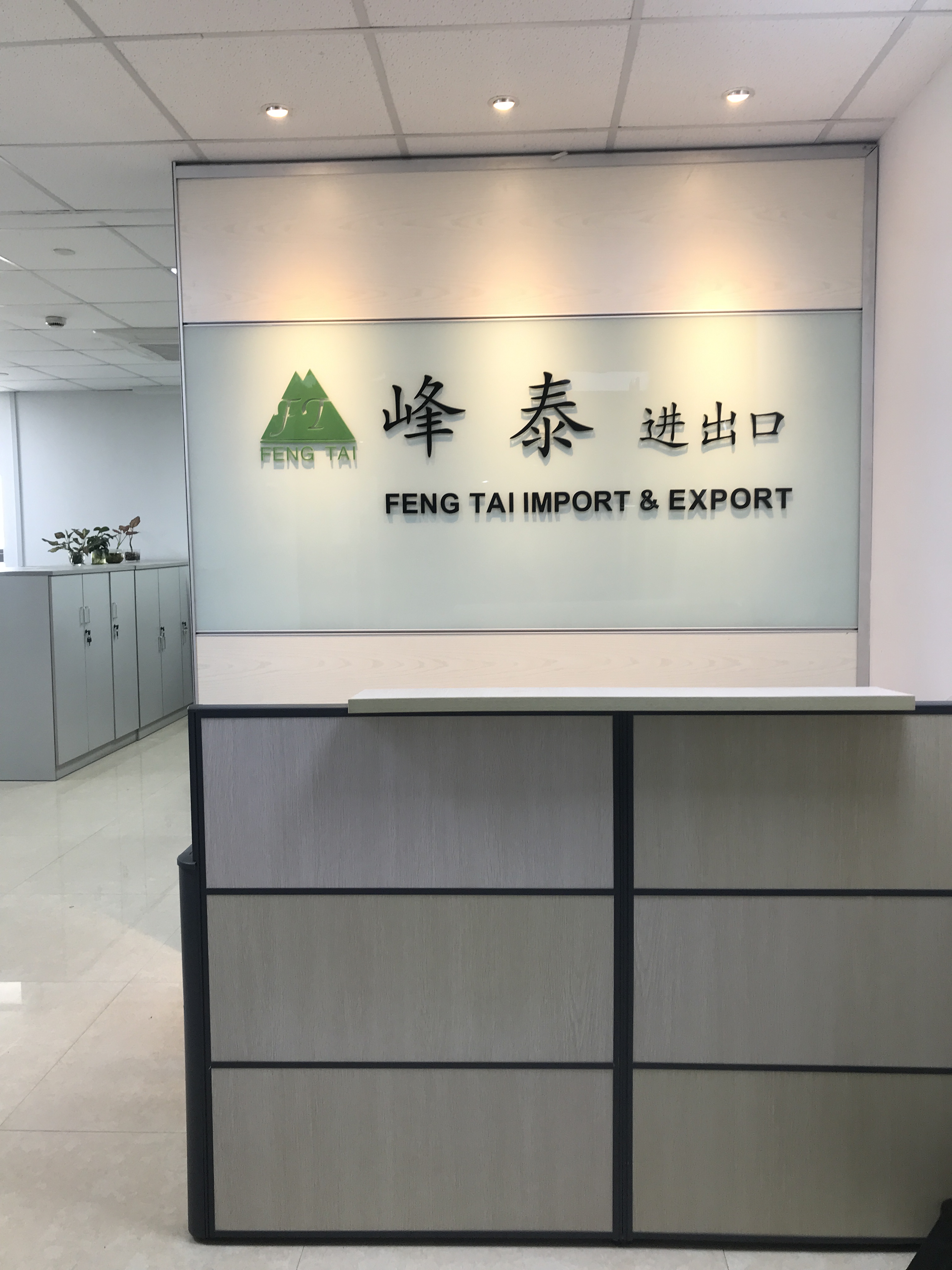 hangzhou fengtai import and export co., ltd. logo