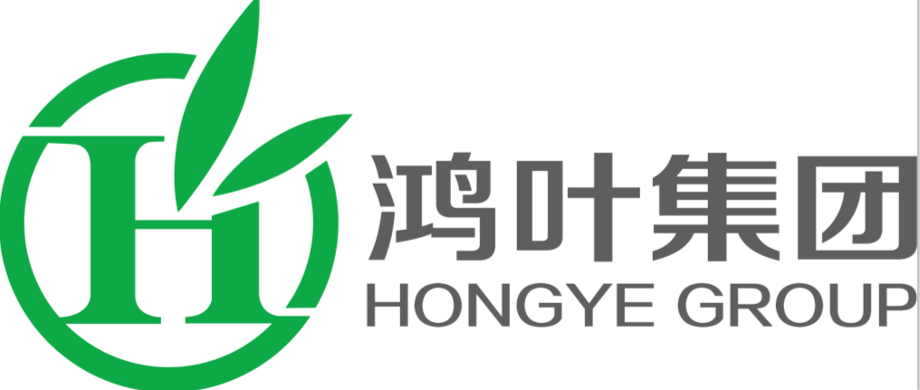 Anhui Hongye Group Co.,Ltd logo