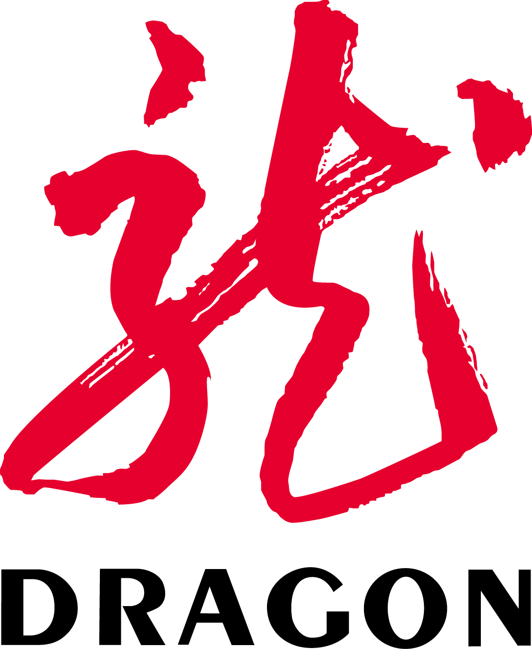 SHANGHAI DRAGON CORPORATION logo