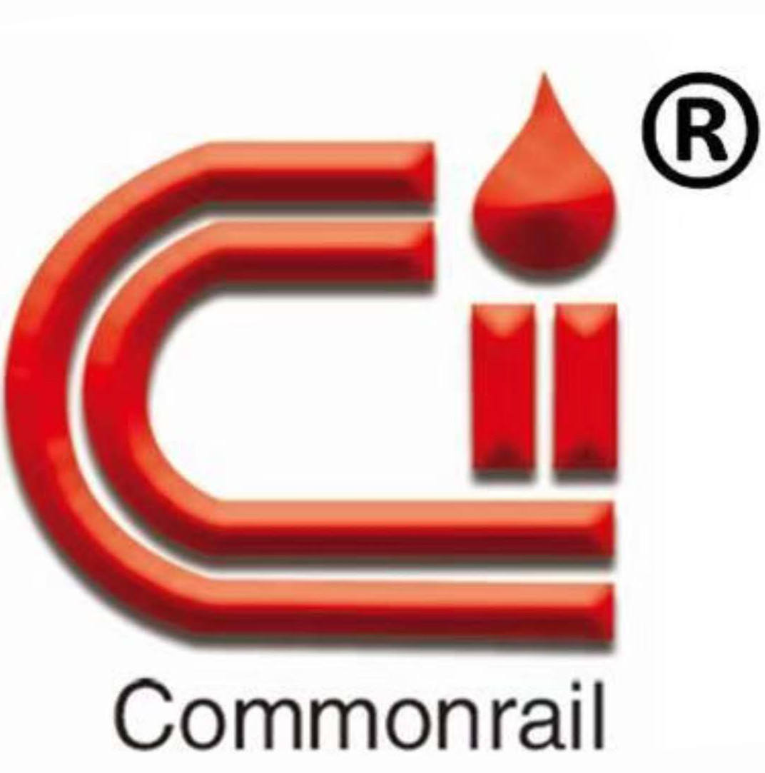 LIAOCHENG COMMONRAIL AUTOPARTS CO.,LTD logo