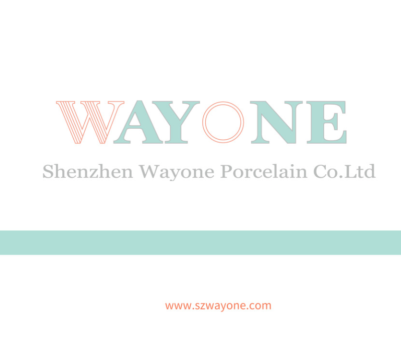 Shenzhen Wayone Porcelain Co.Ltd logo