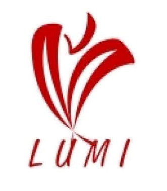 LUMI ENTERPRISES COMPANY LIMITED logo