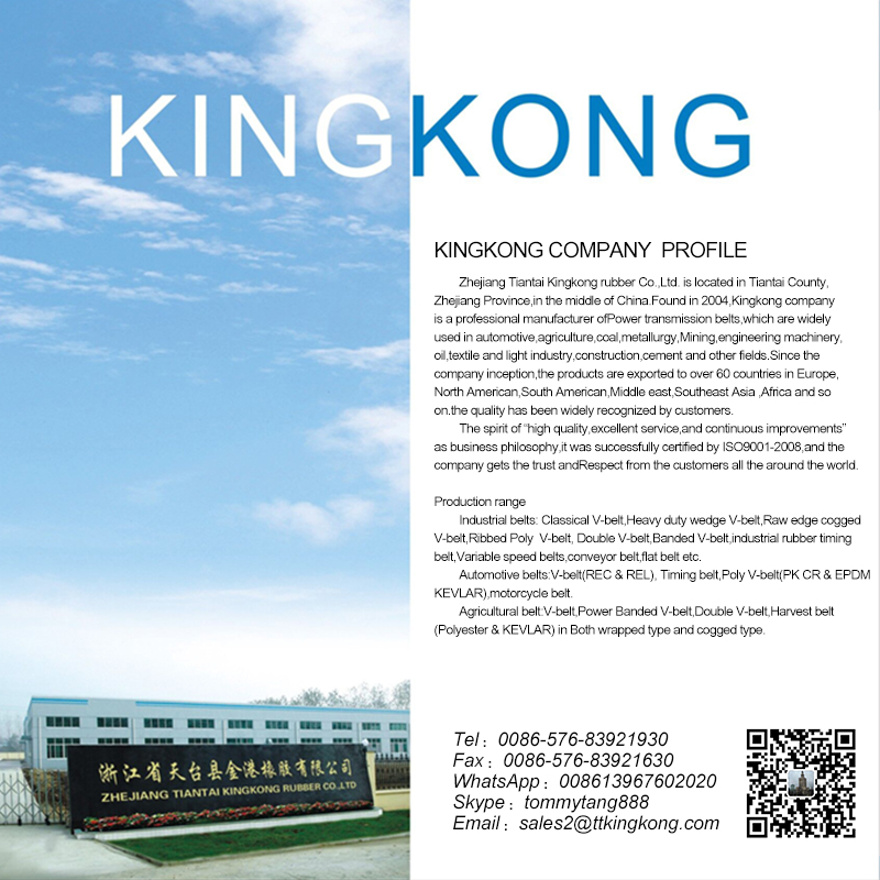 ZHEJIANG TIANTAI KINGKONG RUBBER CO.,LTD. logo