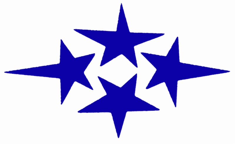 HUBEI FOURSTARS INTERNATIONAL TRADE CO LTD logo
