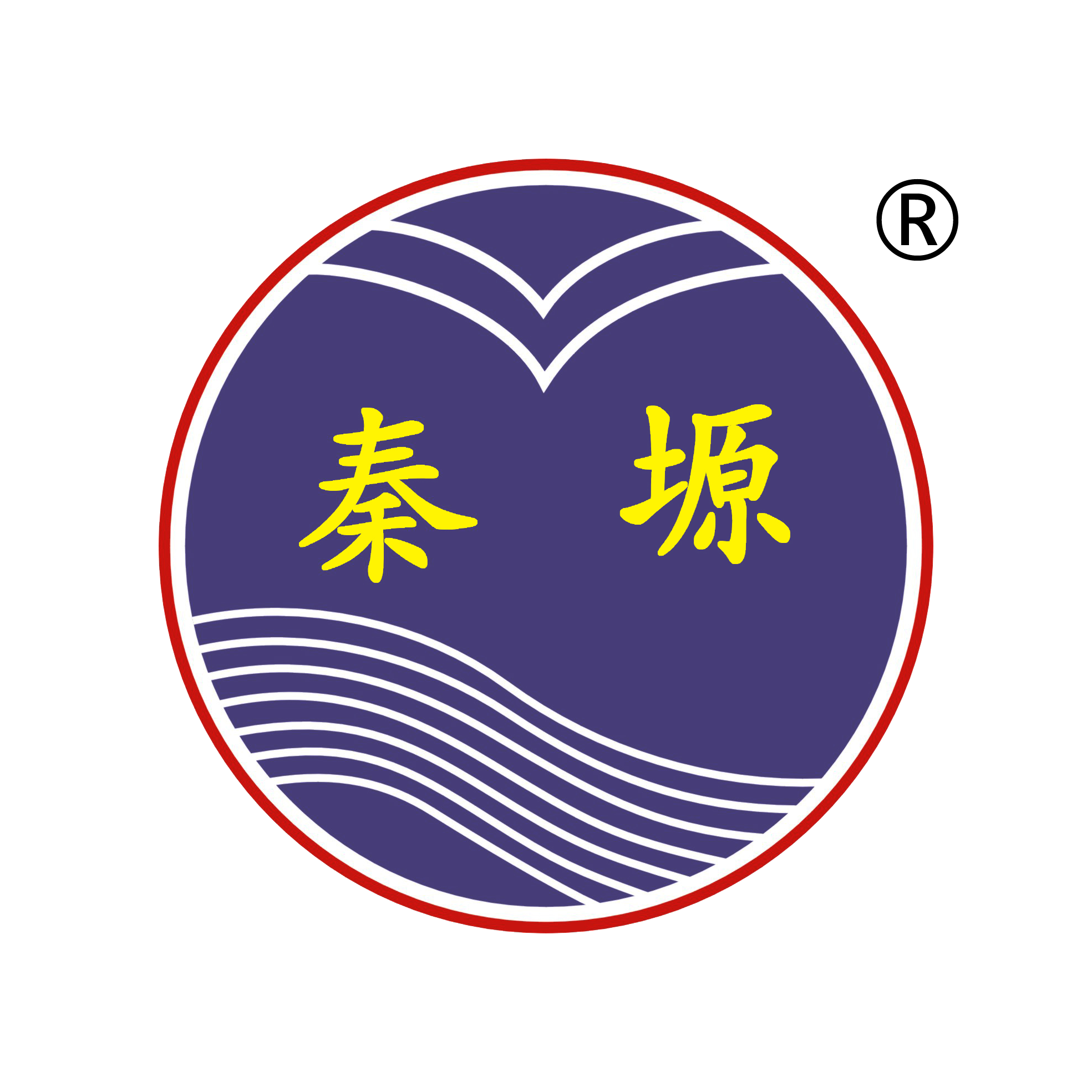 SHAANXI QINYUAN TEXTILE CO;LTD logo