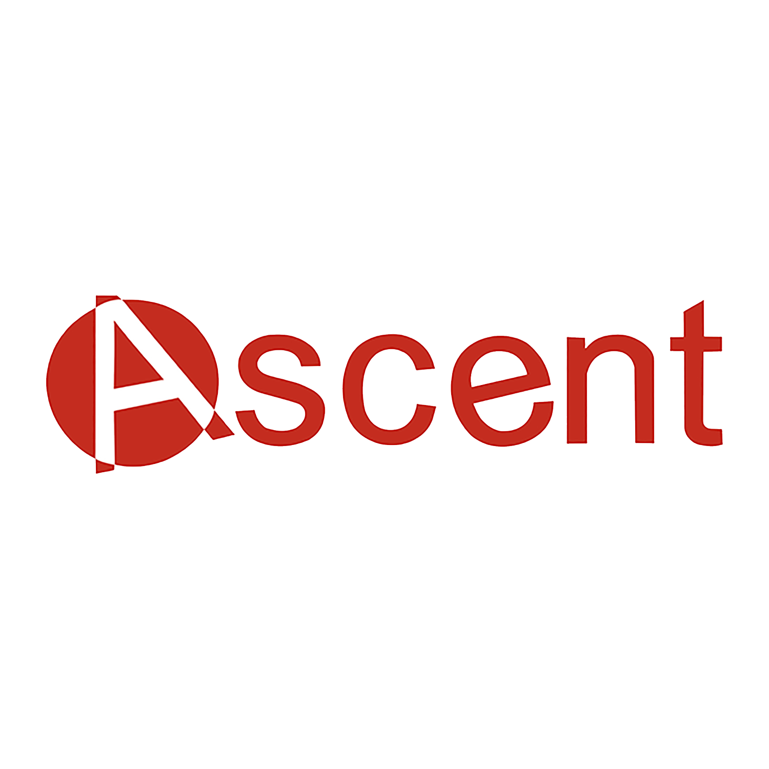 SHANXI ASCENT INDUSTRIAL CO.,LTD logo