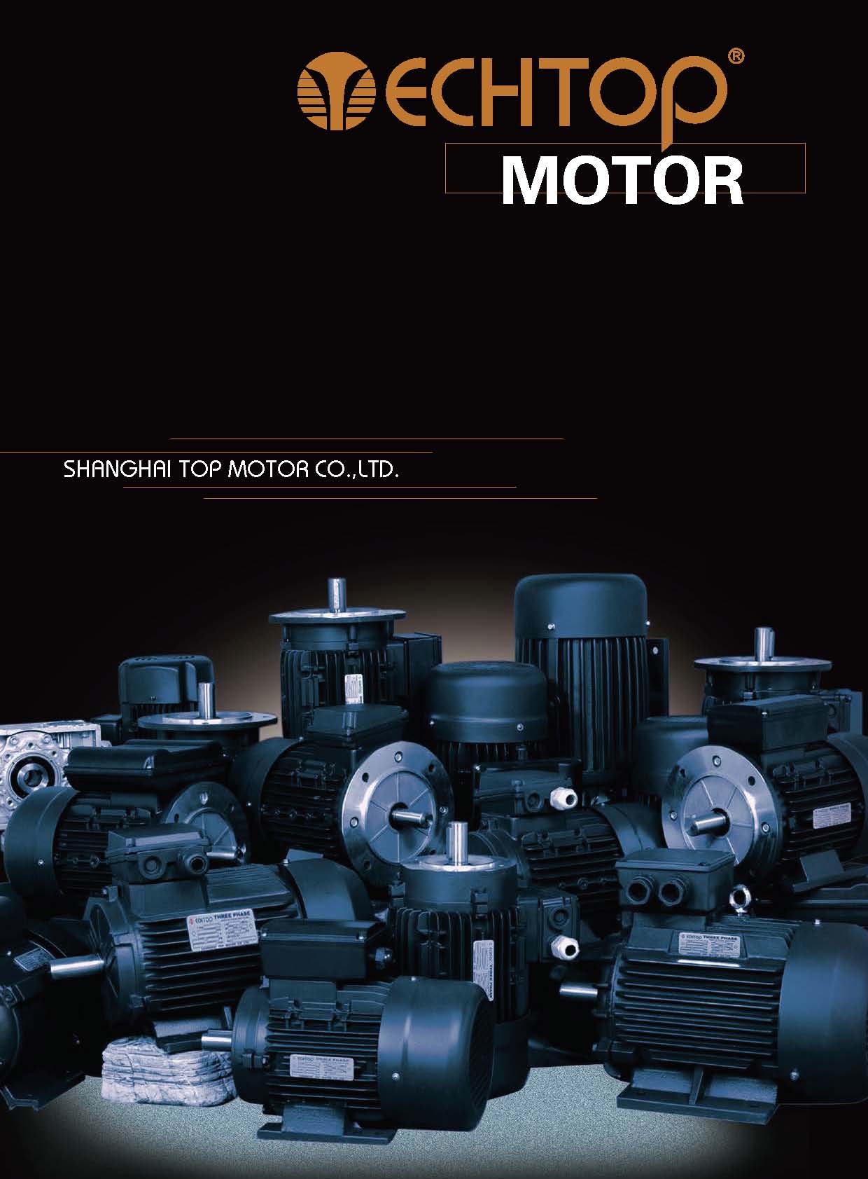 SHANGHAI TOP MOTOR CO.,LTD logo