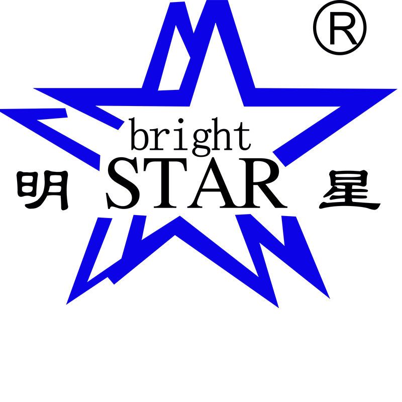 LINYI BRIGHT STAR FOOD MACHINE CO.,LTD logo