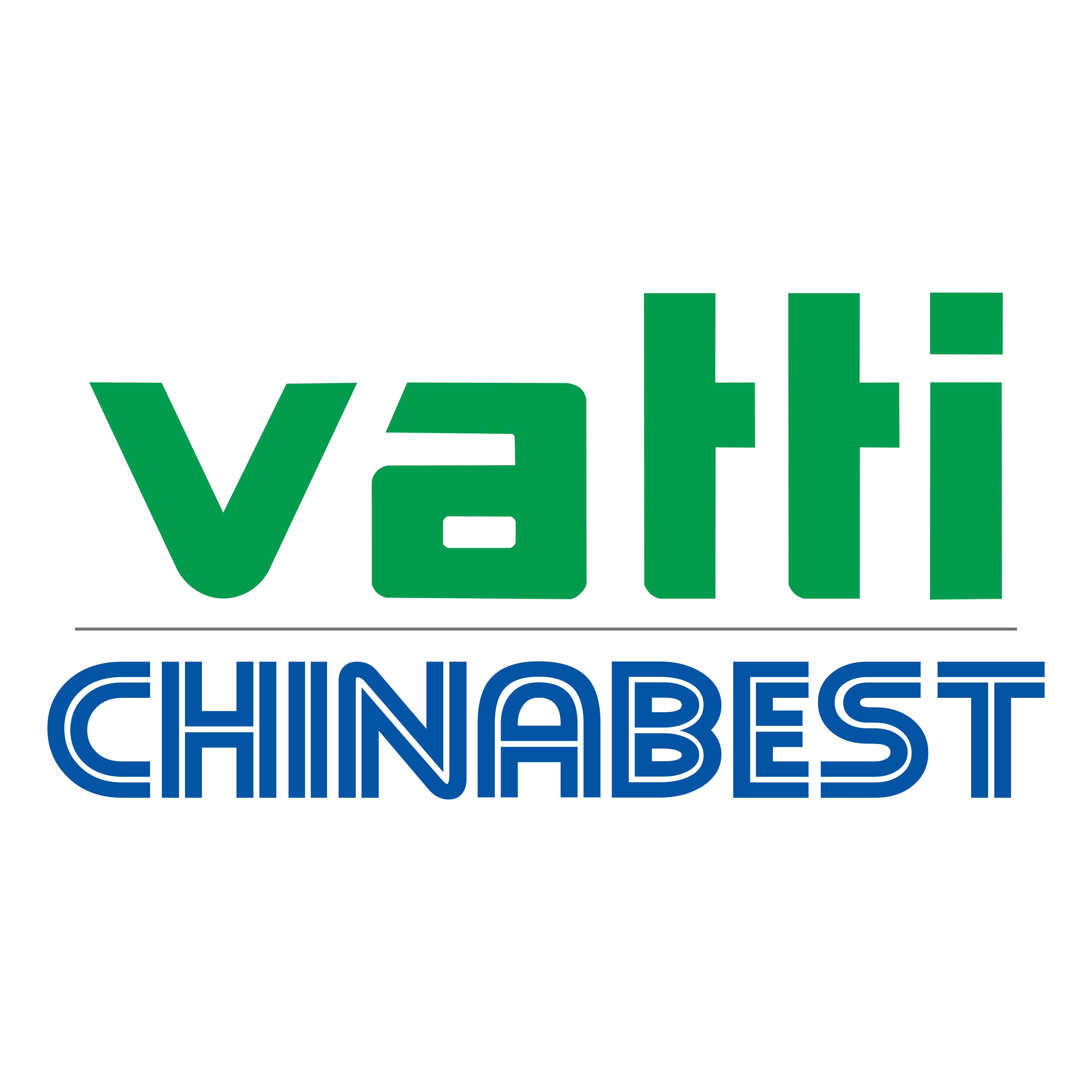 VATTI CORPORATION LIMITED logo
